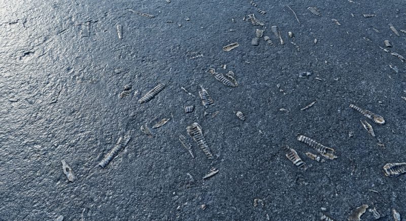Bluestone surface detail